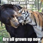 Tigger and Pooh are all grown up now× | Tigger and Pooh; Are all grown up now | image tagged in tigger,pooh | made w/ Imgflip meme maker