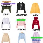 zodiacs signs as hoodies template