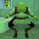 shrek in spunch bop GIF Template