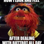 Animal Muppets | HOW I LOOK AND FEEL; AFTER DEALING WITH BUTTROT ALL DAY | image tagged in animal muppets | made w/ Imgflip meme maker