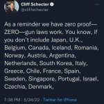 Zero proof gun laws work
