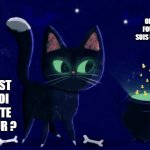 kkpp | ON S'EN FOUT? JE SUIS UN CHAT. C'EST QUOI CETTE LUEUR ? | image tagged in kkpp | made w/ Imgflip meme maker