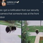 security bee
