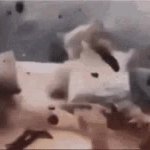 explosion GIF Template