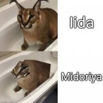 Facs | Iida; Midoriya | image tagged in 2 bits floppa,my hero academia,anime,funny,memes,funny memes | made w/ Imgflip meme maker