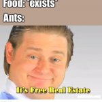 Damn ants | Food: *exists* Ants: | image tagged in it's free real estate | made w/ Imgflip meme maker