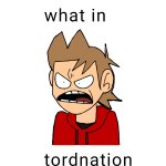 What in tordnation