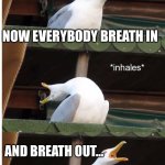Inhaling seagull | NOW EVERYBODY BREATH IN; AND BREATH OUT… | image tagged in inhaling seagull | made w/ Imgflip meme maker