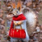 Squirrel Red Riding Hood