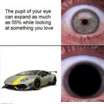 the pupil of your eye can expand | image tagged in the pupil of your eye can expand,lamborghini | made w/ Imgflip meme maker