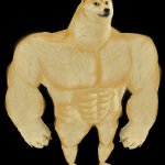 Strong Doge
