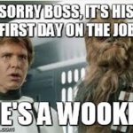 wookie