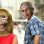 MonkeyPox