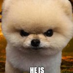 Fluffy, Destroyer of Worlds | THIS IS FLUFFY; HE IS DESTROYER OF WORLDS | image tagged in fluffy destroyer of worlds | made w/ Imgflip meme maker
