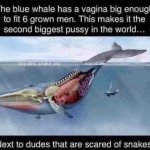 Second biggest pussy