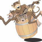 barrel of monkey pox