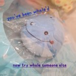 You've been whale'd | image tagged in you've been whale'd,memes | made w/ Imgflip meme maker