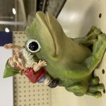Gnomish Frog Rider