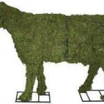 Moss cow template