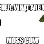 Teacher what are you laughing at | GEOGRAPHY TEACHER: WHAT ARE YOU LAUGHING AT MOSS COW | image tagged in teacher what are you laughing at | made w/ Imgflip meme maker