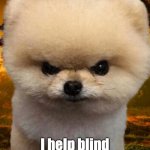 Fluffy Comments: | I help blind orphans, the verb | image tagged in fluffy destroyer of worlds,i help blind orphans | made w/ Imgflip meme maker