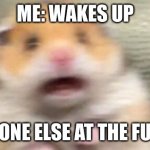 R U N | ME: WAKES UP; EVERYONE ELSE AT THE FUNERAL | image tagged in screaming hampster | made w/ Imgflip meme maker