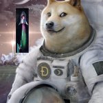 A love that will reach the moon and beyond . | 1N R37R05P3C7; 17 W45 1N3V174813 | image tagged in dogecoin | made w/ Imgflip meme maker