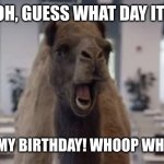 Yep, you heard & saw it correctly. Its my birthday! | UH OH, GUESS WHAT DAY IT IS? IT'S MY BIRTHDAY! WHOOP WHOOP! | image tagged in hump day camel,happy birthday,memes,funny | made w/ Imgflip meme maker