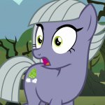 limestone pie's surprised face