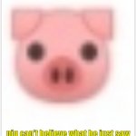 pig can't believe what he just saw