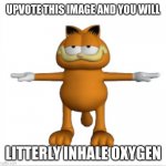 garfield t-pose | UPVOTE THIS IMAGE AND YOU WILL; LITTERLY INHALE OXYGEN | image tagged in garfield t-pose,just do it,pls,oh come on,upvote begging,lol so funny | made w/ Imgflip meme maker