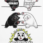 Panda Fusion | GEOLOGY; BIOLOGY; PALEONTOLOGY | image tagged in panda fusion | made w/ Imgflip meme maker