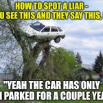 Liars, uou can spot them if you undersrand the clues! | HOW TO SPOT A LIAR -
IF YOU SEE THIS AND THEY SAY THIS, RUN! "YEAH THE CAR HAS ONLY BEEN PARKED FOR A COUPLE YEARS" | image tagged in memes,secure parking,liars,cars | made w/ Imgflip meme maker