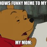 Winnie The Pooh Reading | ME SHOWS FUNNY MEME TO MY MOM MY MOM: | image tagged in winnie the pooh reading,mom,parents | made w/ Imgflip meme maker