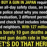 Japan gun control