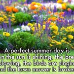 A perfect summer day | A perfect summer day is when the sun is shining, the breeze is blowing, the birds are singing, 
and the lawn mower is broken. | image tagged in garden,sun shining,birds singing,lawnmower,broken | made w/ Imgflip meme maker