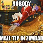 Scrooge McDuck | NOBODY; A SMALL TIP IN ZIMBABWE | image tagged in scrooge mcduck | made w/ Imgflip meme maker