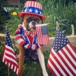 patriotic dog template