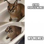 2 Bits Floppa | OTHER PEOPLES MEMES; MY MEMES | image tagged in 2 bits floppa | made w/ Imgflip meme maker