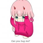 can you hug me zero two