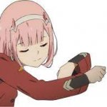 zero two blank hug