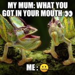 chameleons | MY MUM: WHAT YOU GOT IN YOUR MOUTH 👀; ME : 🤐 | image tagged in chameleons | made w/ Imgflip meme maker