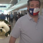 Snowflake y Ted