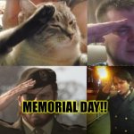 Respect | MEMORIAL DAY!! | image tagged in soldier salute,memes,memorial day,funny | made w/ Imgflip meme maker