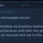 racist game