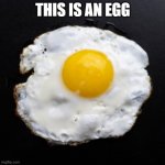 Eggs | THIS IS AN EGG | image tagged in eggs | made w/ Imgflip meme maker