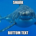 I had no creativity | SHARK BOTTOM TEXT | image tagged in great white shark | made w/ Imgflip meme maker
