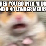 loohcs | WHEN YOU GO INTO MIDDLE SCHOOL AND X NO LONGER MEANS MULTIPLY | image tagged in screaming hampster | made w/ Imgflip meme maker