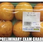 PhD Preliminary Exam | PRELIMINARY EXAM GRADE | image tagged in not the best but still good oranges,phd,grad school,test,preliminary exam,not the best | made w/ Imgflip meme maker