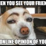 How you doin' | WHEN YOU SEE YOUR FRIENDS; ONLINE OPINION OF YOU | image tagged in how you doin' | made w/ Imgflip meme maker